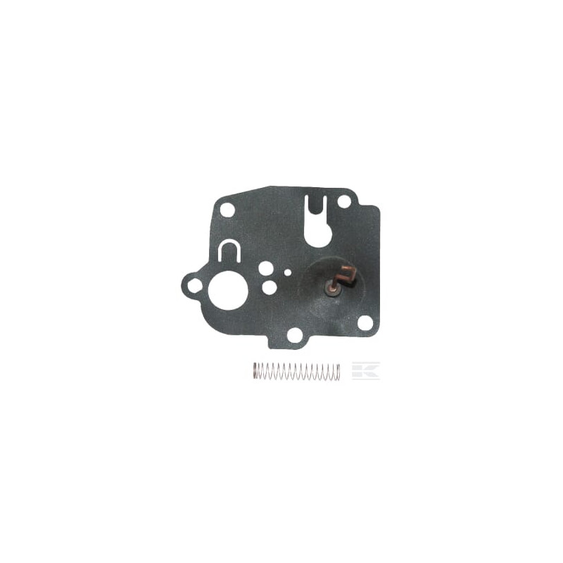 Briggs & Stratton 391681 Membrane