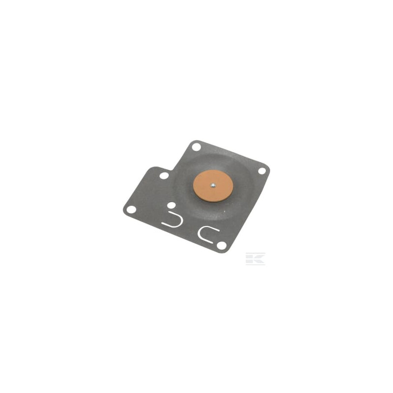 Briggs & Stratton 396789 Membrane