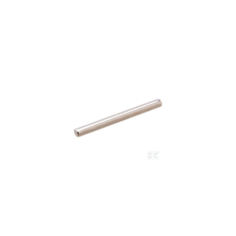 Briggs et Stratton 592486 Pin-float hinge