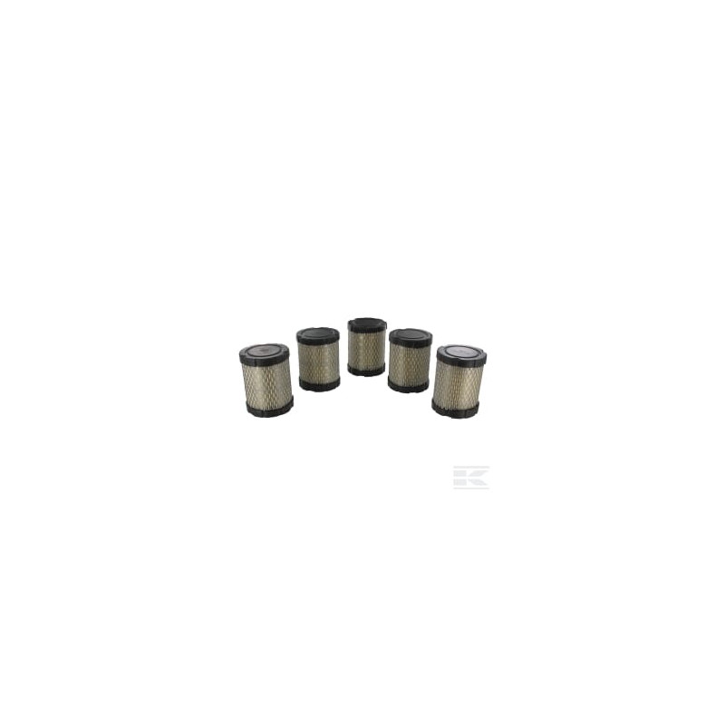 Briggs et Stratton 4263PAC Colliers de serrage pour tuyaux Briggs et Stratton