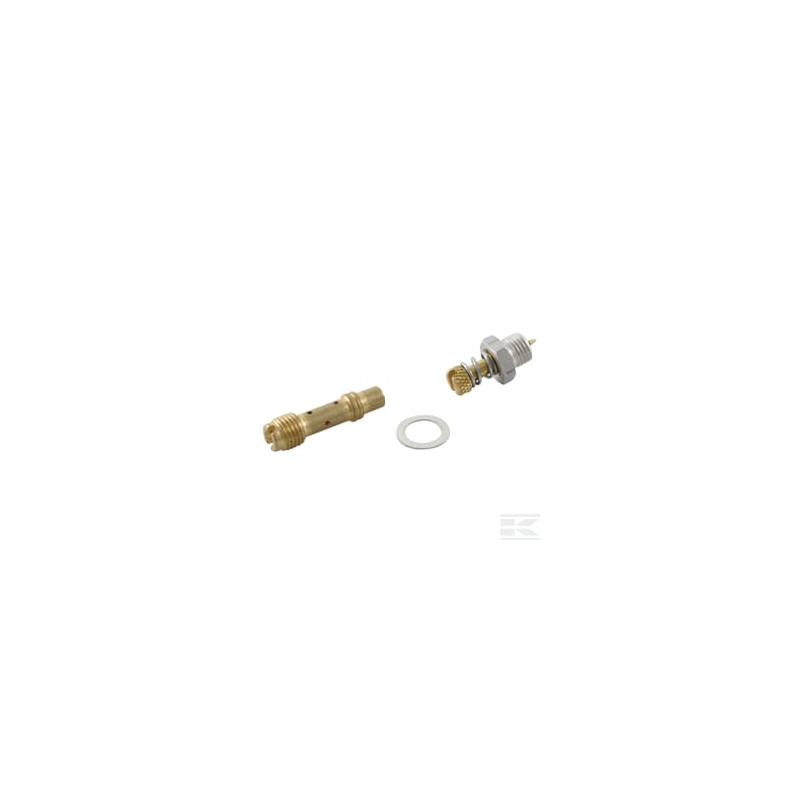 Briggs et Stratton 396795 Kit pointeau