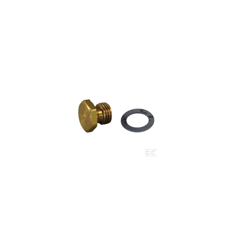 Briggs & Stratton 493869 Diffuseur