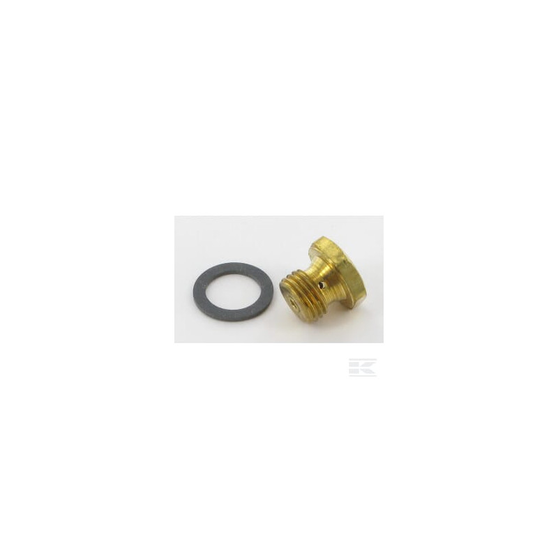 Briggs & Stratton 498976 Gicleur principal