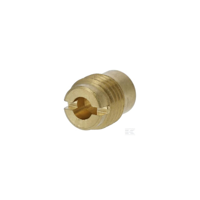 Briggs & Stratton 592875 Buse principale