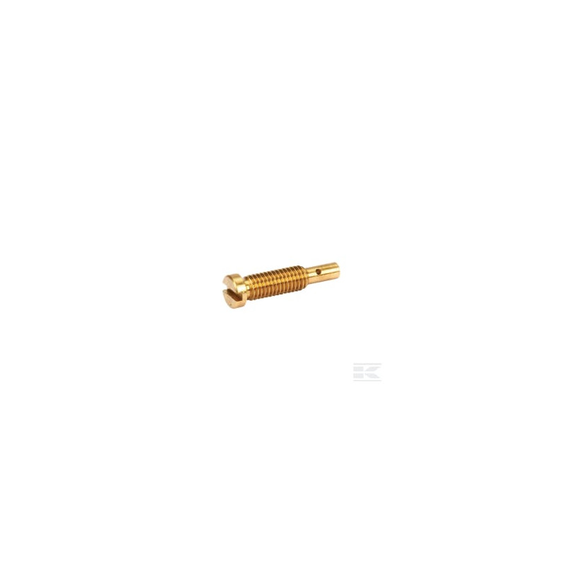 Briggs & Stratton 691250 Gicleur principal