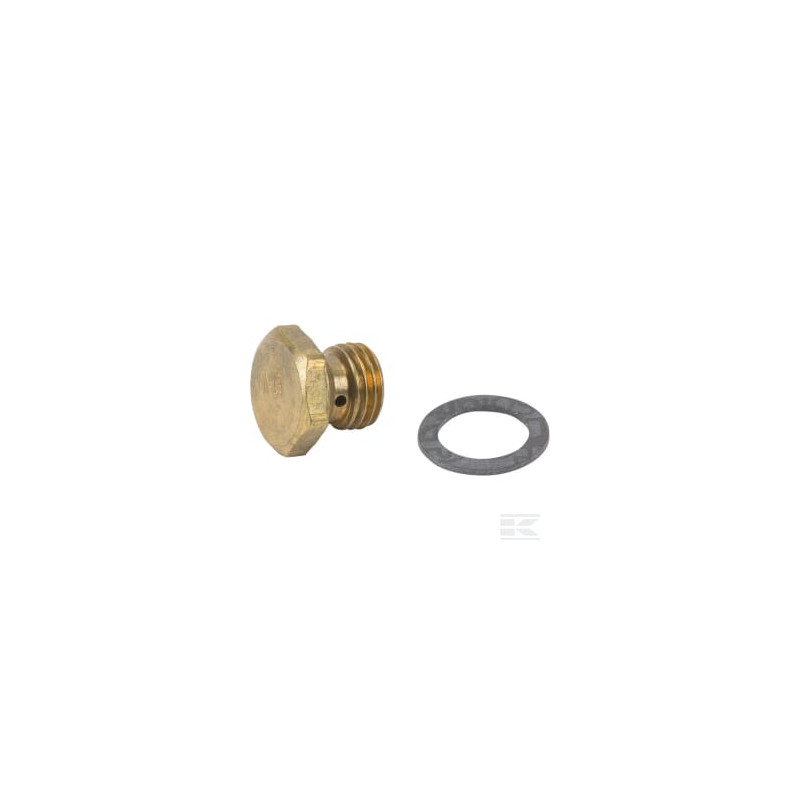 Briggs & Stratton 695042 Gicleur principal