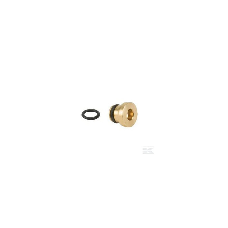 Briggs & Stratton 699898 Gicleur principal