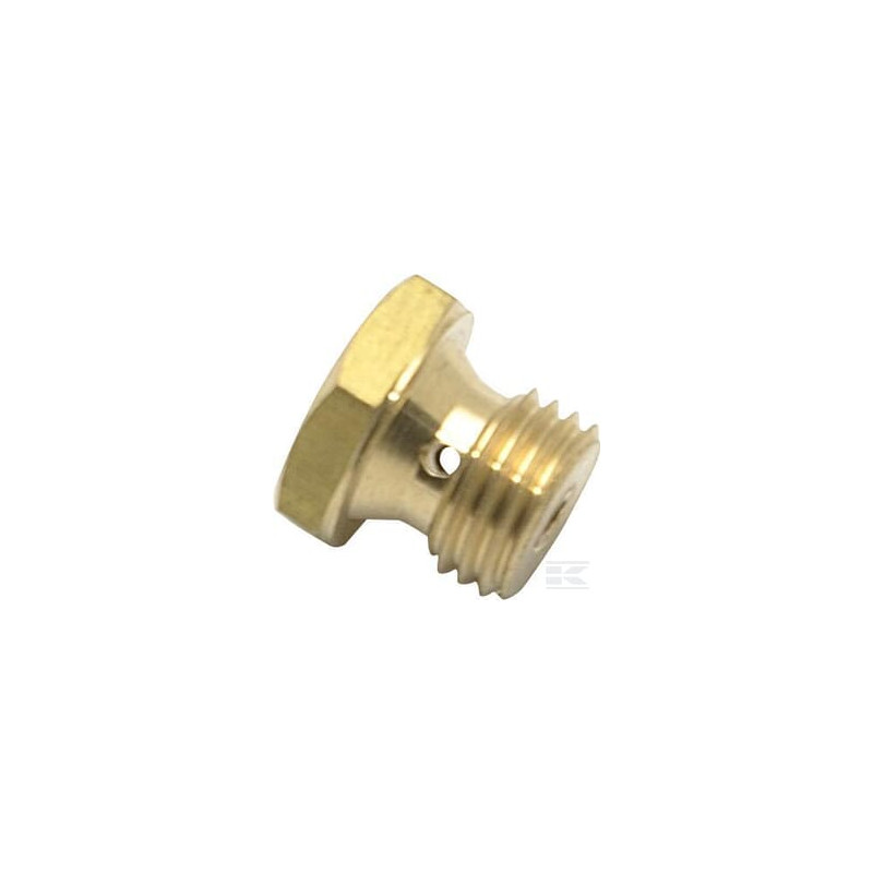 Briggs & Stratton 797574 Buse, principale