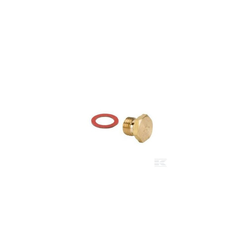 Briggs & Stratton 797575 Gicleur principal
