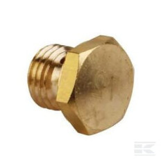 Briggs & Stratton 798661 Gicleur principal