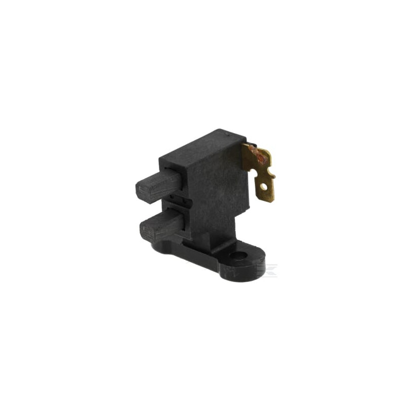 Briggs et Stratton 103650GS Balai à charbon