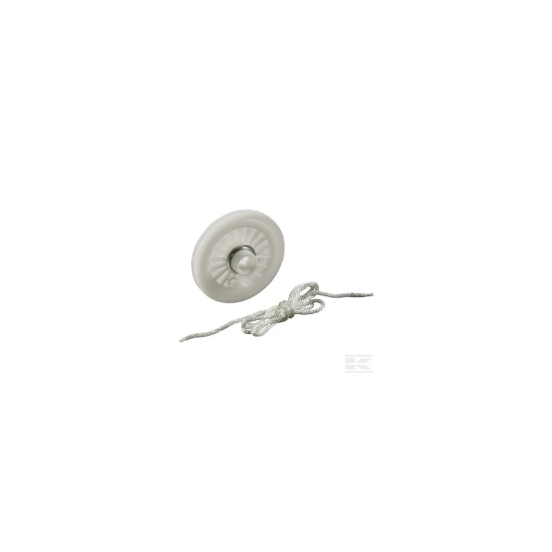 Briggs et Stratton 392630 Poulie de démarrage