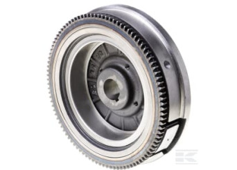Briggs et Stratton 841050WM Volant