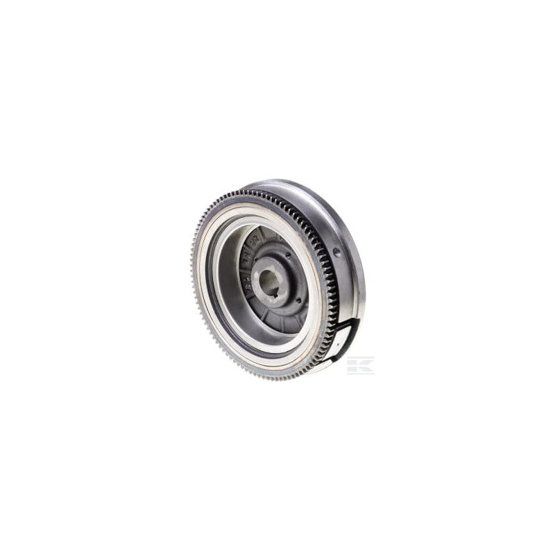 Briggs et Stratton 841050WM Volant