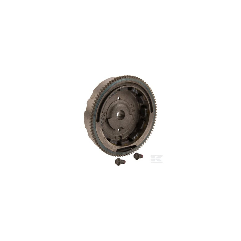 Briggs et Stratton 798882 Volant d'inertie