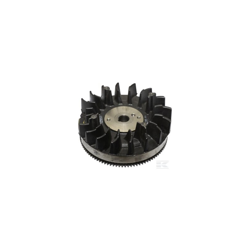 Briggs et Stratton 842514 Volant