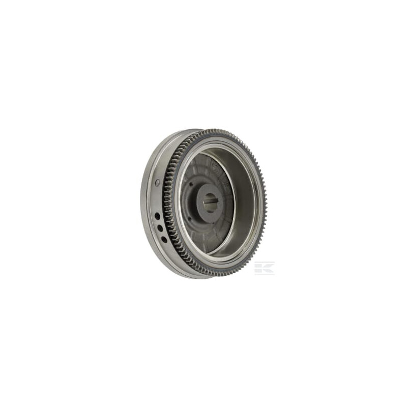Briggs et Stratton 845489 Volant