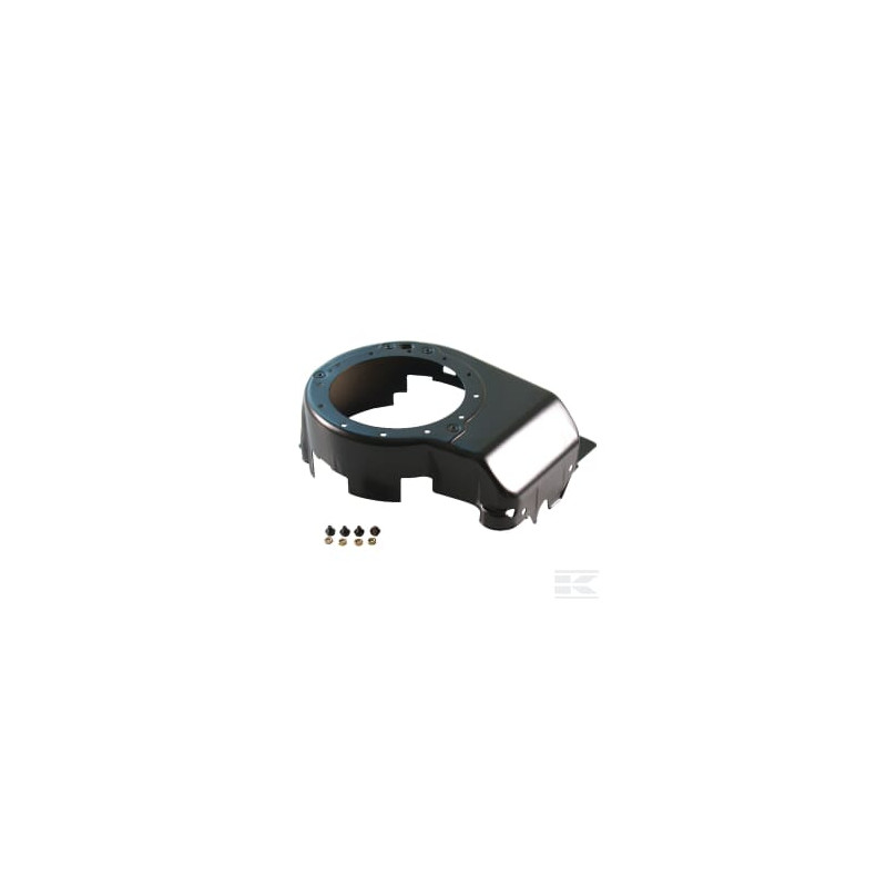 Briggs et Stratton 795071 Carter