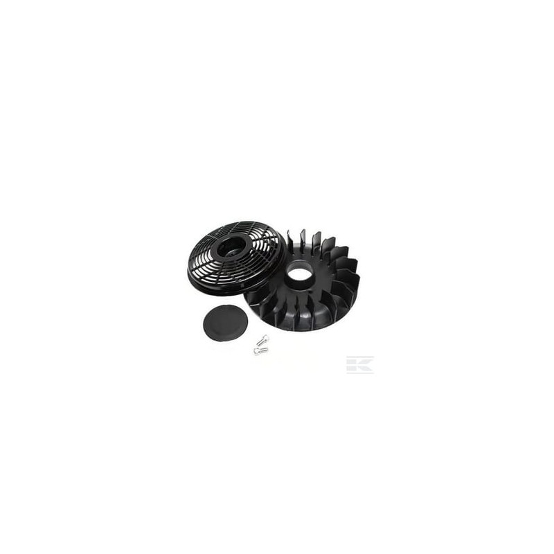 Briggs et Stratton 796200 Ventilateur de volant