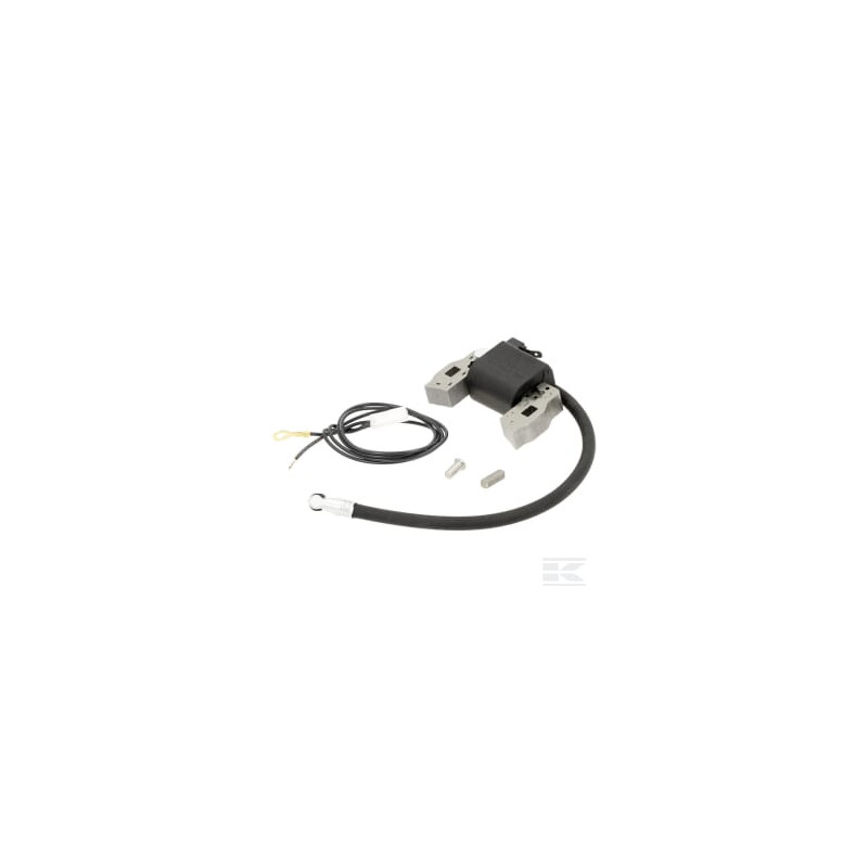 Briggs et Stratton 397358 Bobine d'allumage B&S