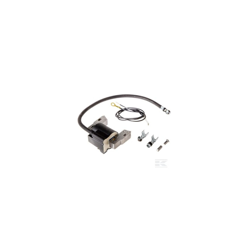 Briggs et Stratton 591420 Bobine d'allumage B&S