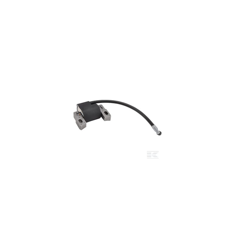 Briggs et Stratton 592445 Bobine d'allumage B&S