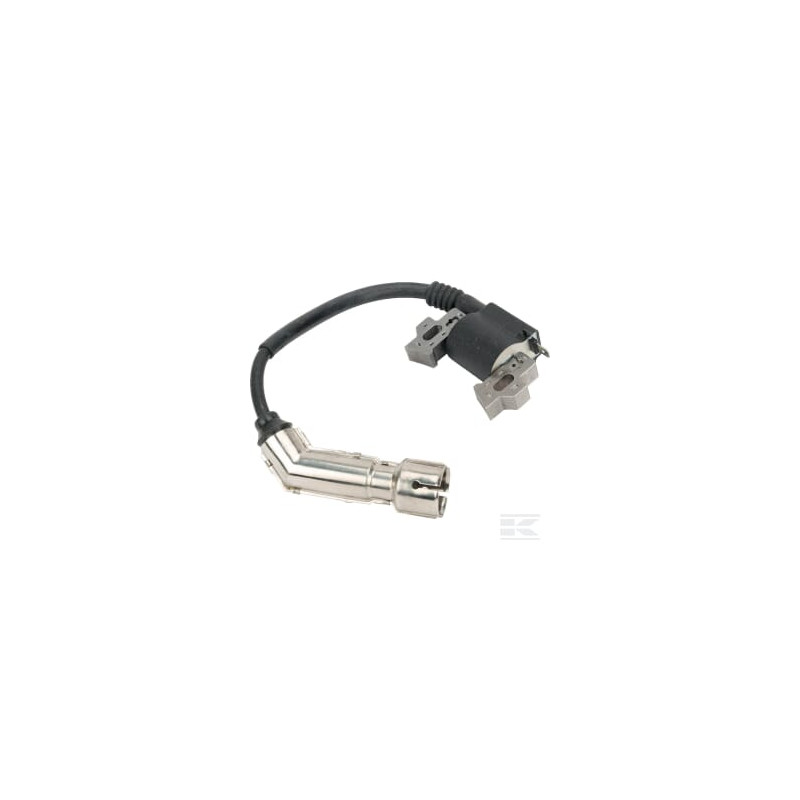 Briggs et Stratton 593455 Bobine d'allumage B&S