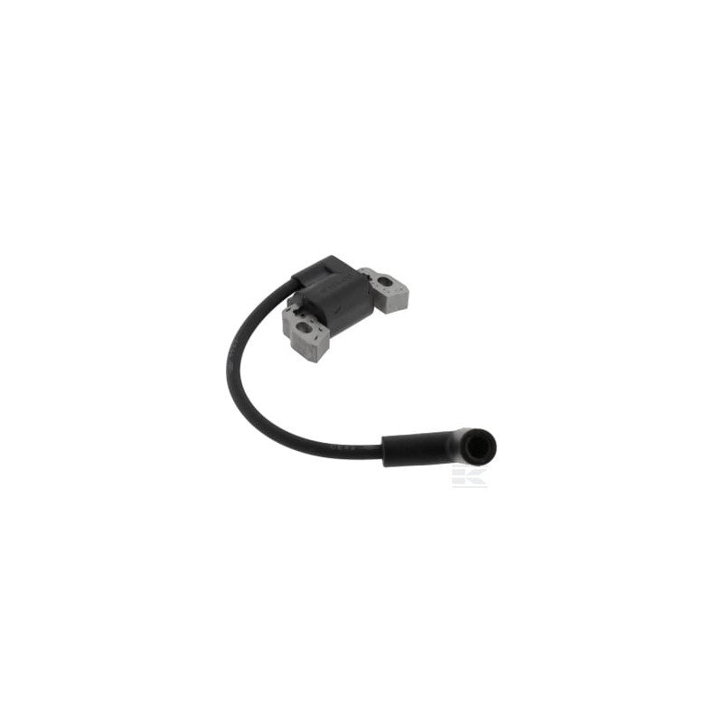 Briggs et Stratton 595291 Bobine d'allumage B&S