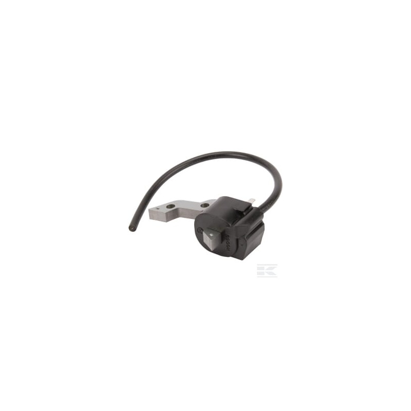 Briggs et Stratton 711197WM Bobine d'allumage B&S