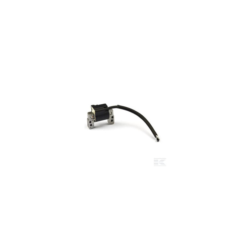 Briggs et Stratton 796964 Bobine d'allumage B&S