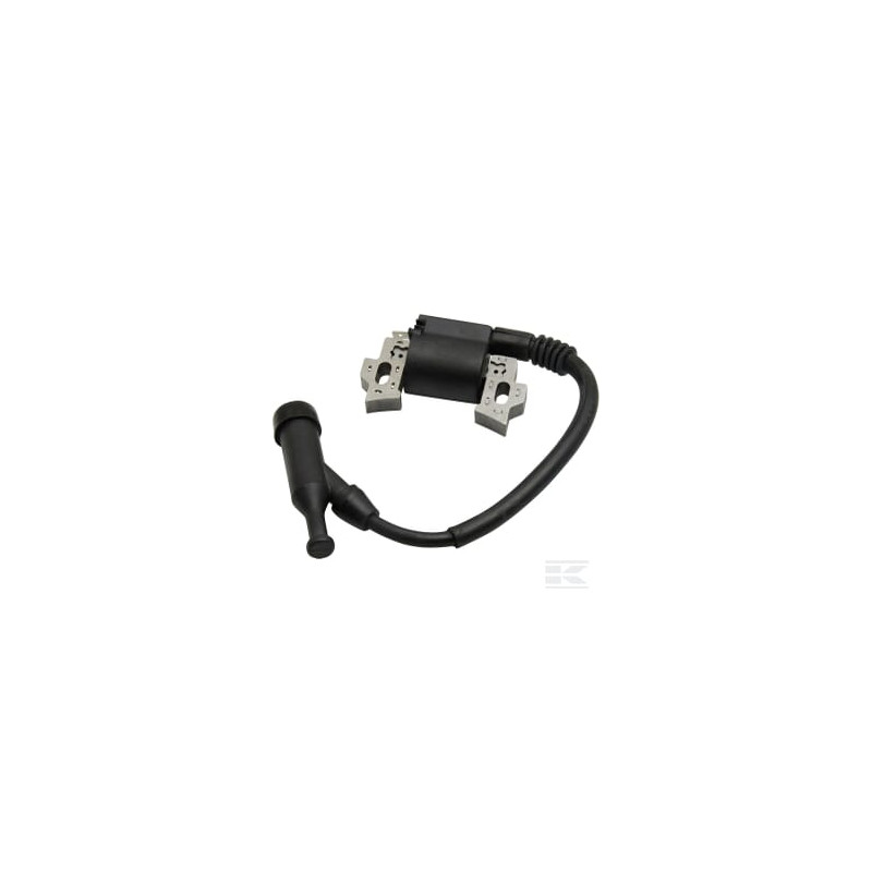 Briggs et Stratton 797343WM Magnéto d'allumage armature
