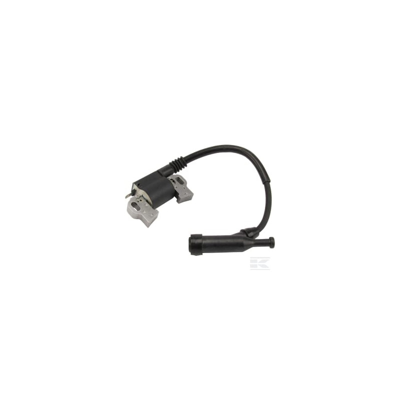 Briggs et Stratton 797769 Bobine d'allumage B&S
