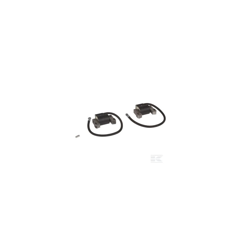 Briggs et Stratton 843860WM Bobine d'allumage, Briggs et Stratton