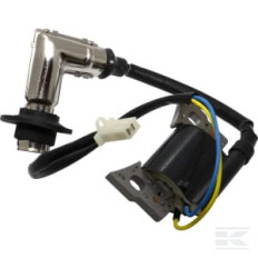 Briggs et Stratton 317436GS Bobine d'allumage B&S