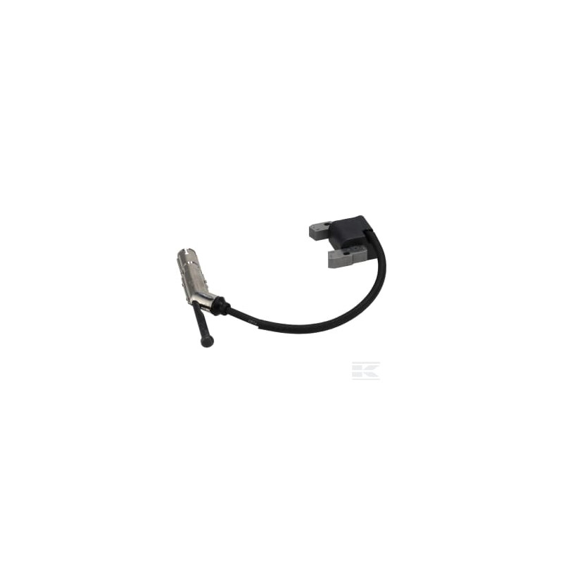 Briggs et Stratton 84004673 Armature, magnéto