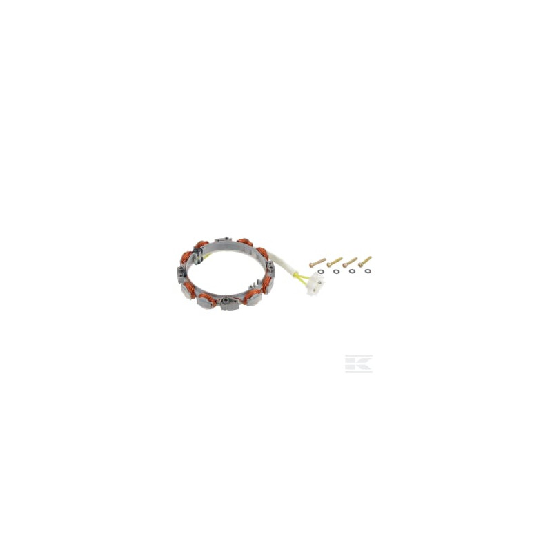 Briggs et Stratton 696579 Alternateur