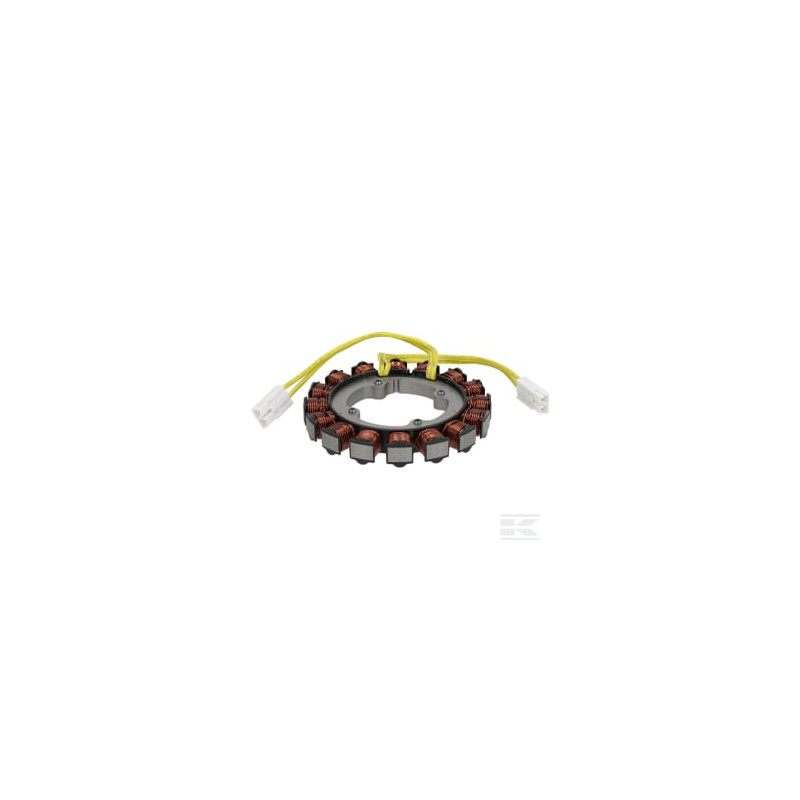 Briggs et Stratton 841178 Alternateur