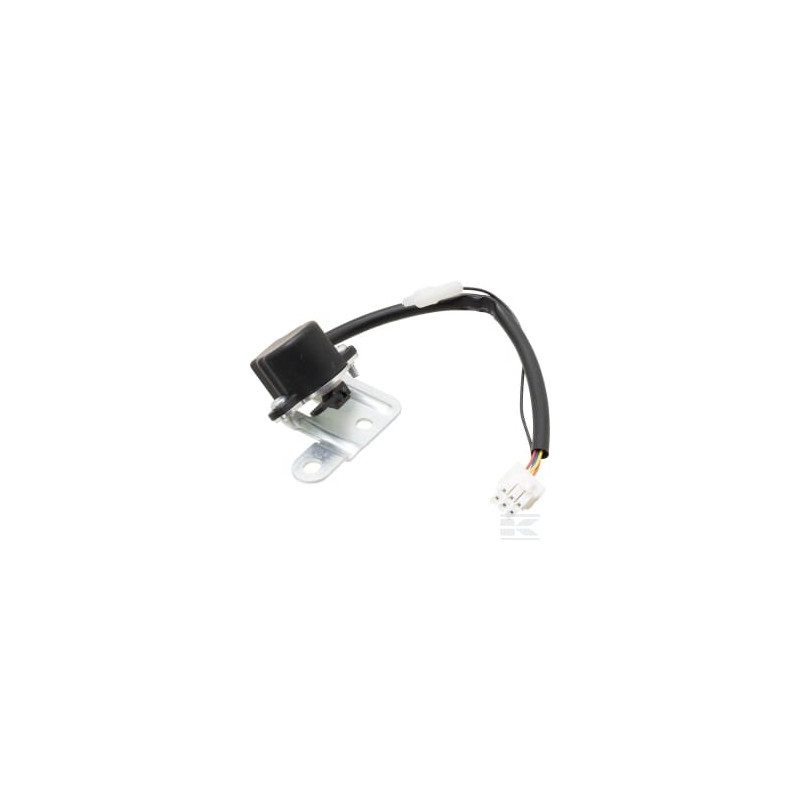 Briggs et Stratton 847946 Moteur, pas à pas