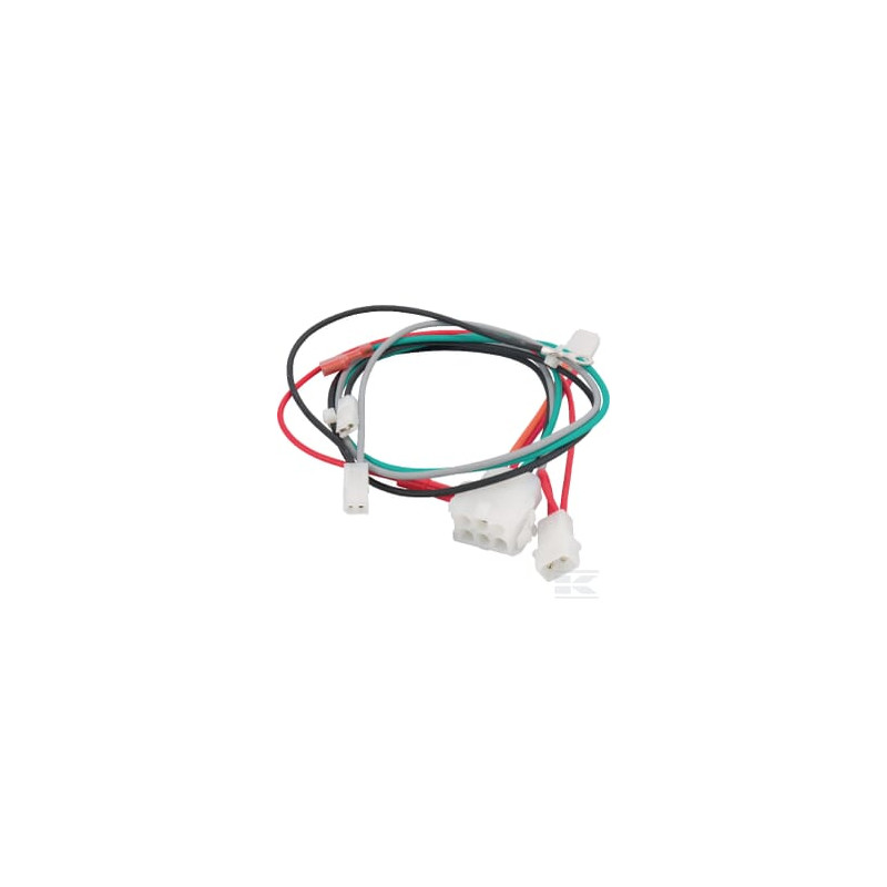 Briggs et Stratton 698329 Faisceau electrique