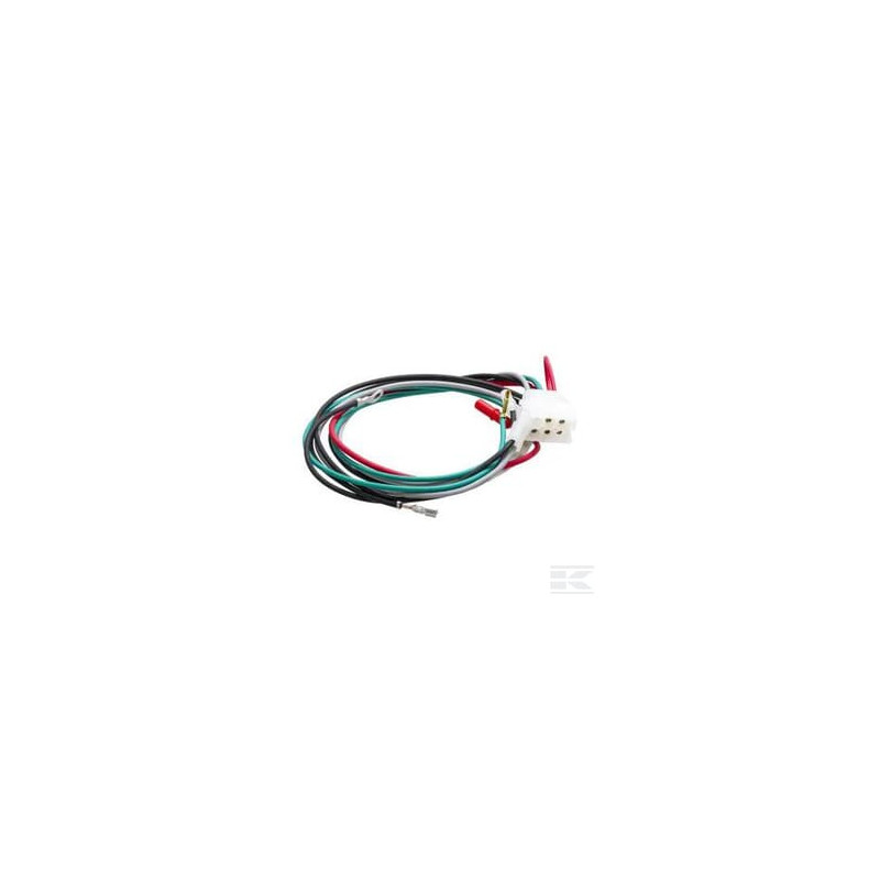 Briggs et Stratton 797492 Faisceau de câbles