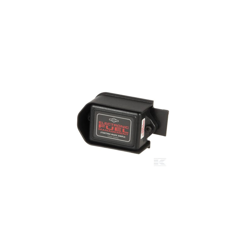 Briggs et Stratton 597202 Module électronique étrangleur