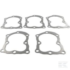 Briggs et Stratton 4120 Joint de culasse 5 X 272157S
