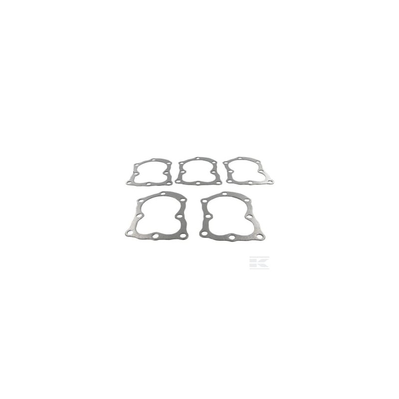 Briggs et Stratton 4120 Joint de culasse 5 X 272157S