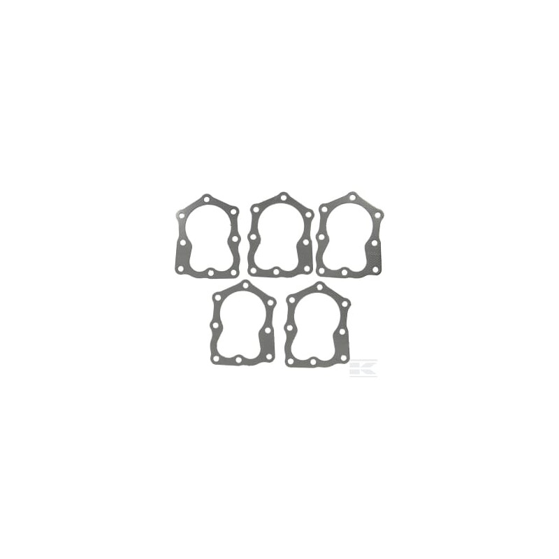 Briggs et Stratton 4122 Joint de culasse 5 x 272200S