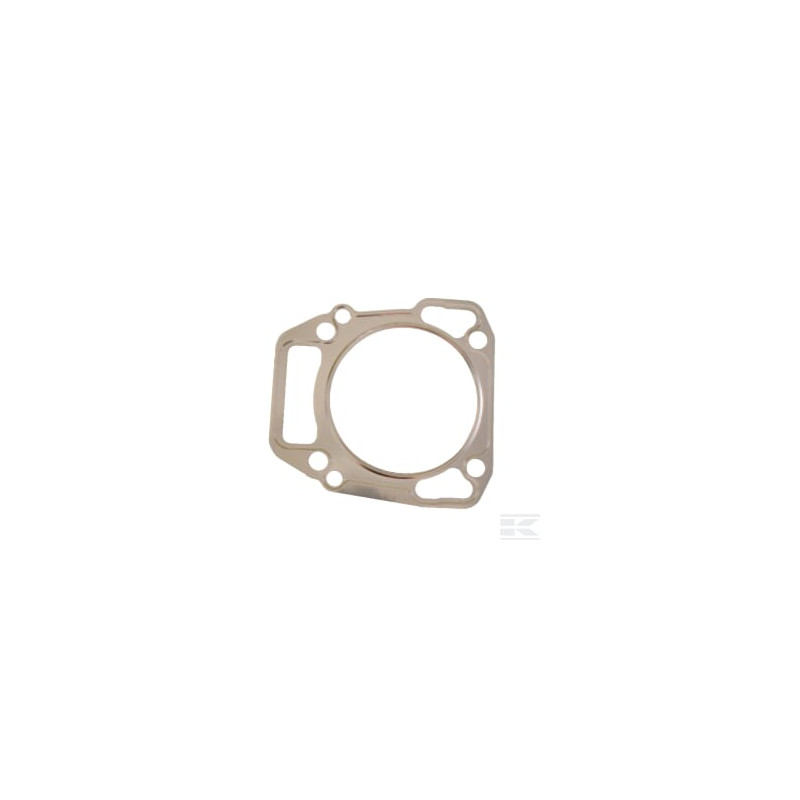 Briggs et Stratton 710539 Joint de culasse