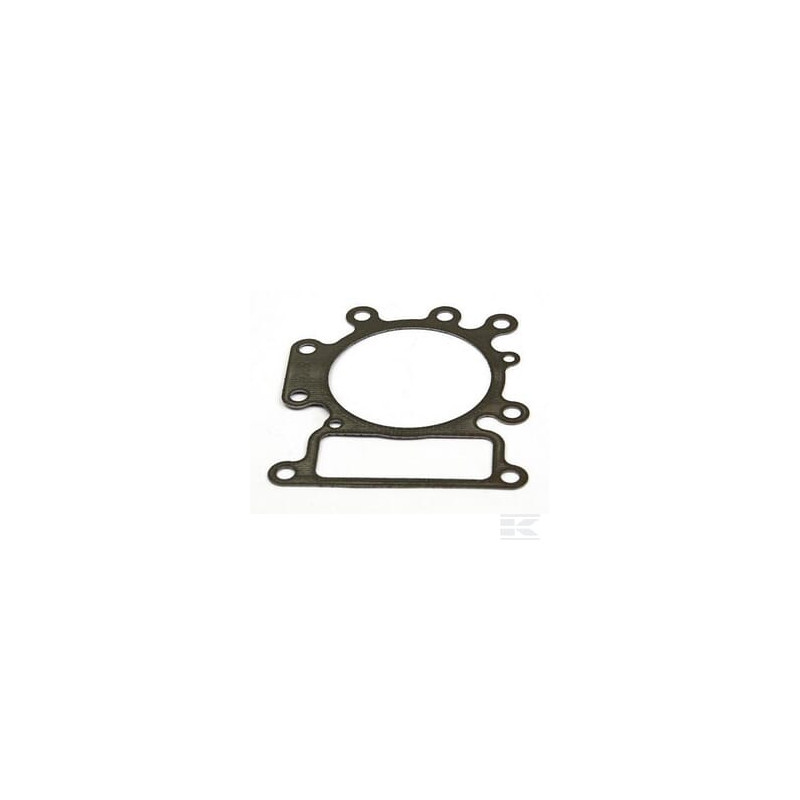 Briggs et Stratton 796584 Joint de culasse