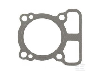 Briggs et Stratton 793455 Joint de culasse