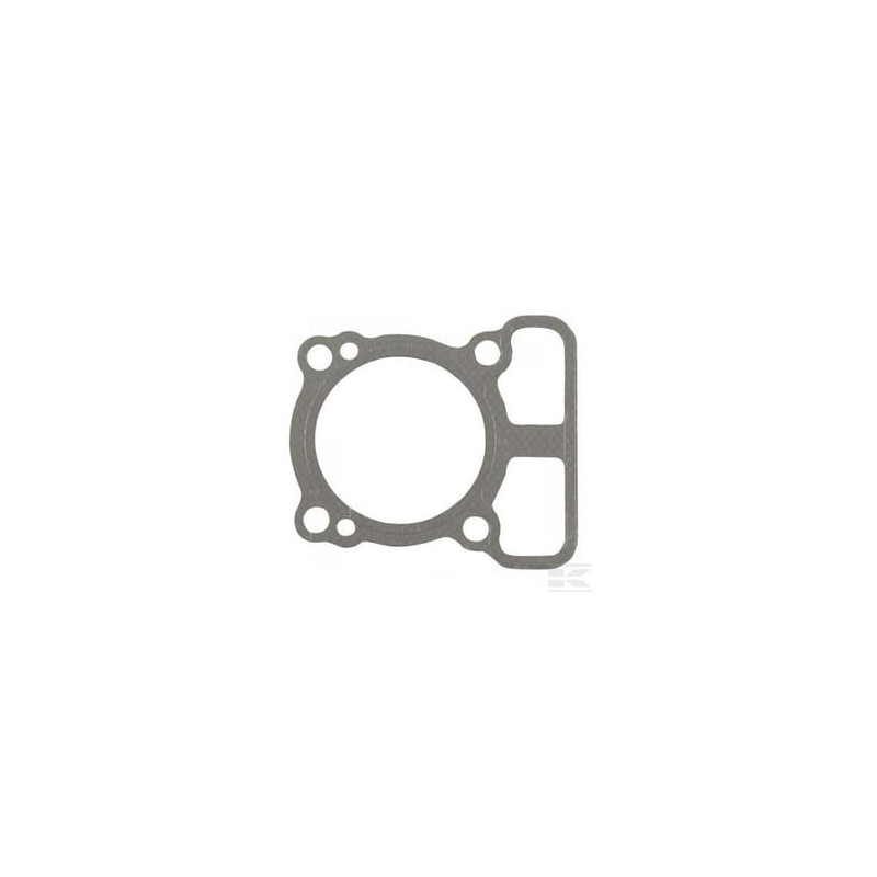 Briggs et Stratton 793455 Joint de culasse