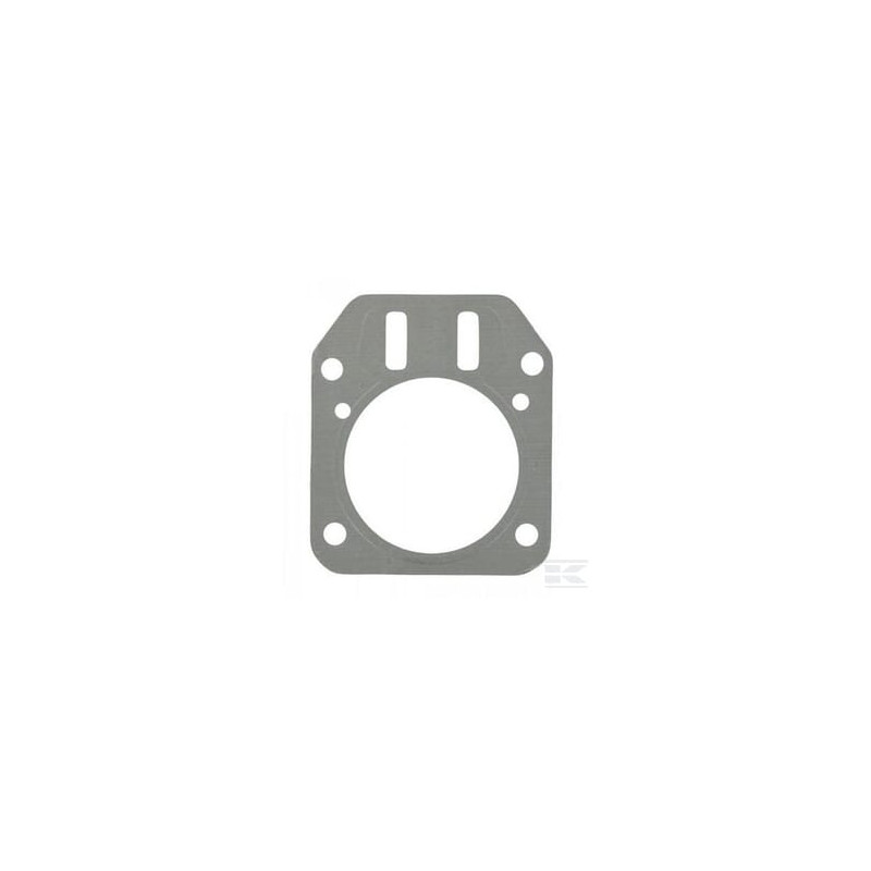 Briggs et Stratton 791716 Joint de culasse