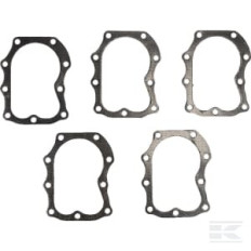 Briggs et Stratton 4121 Joint de culasse 5 X 272163S